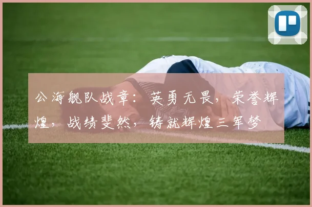 公海舰队战章：英勇无畏，荣誉辉煌，战绩斐然，铸就辉煌三军梦