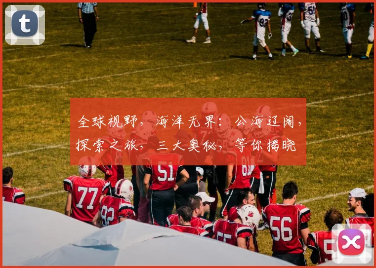 全球视野，海洋无界：公海辽阔，探索之旅，三大奥秘，等你揭晓